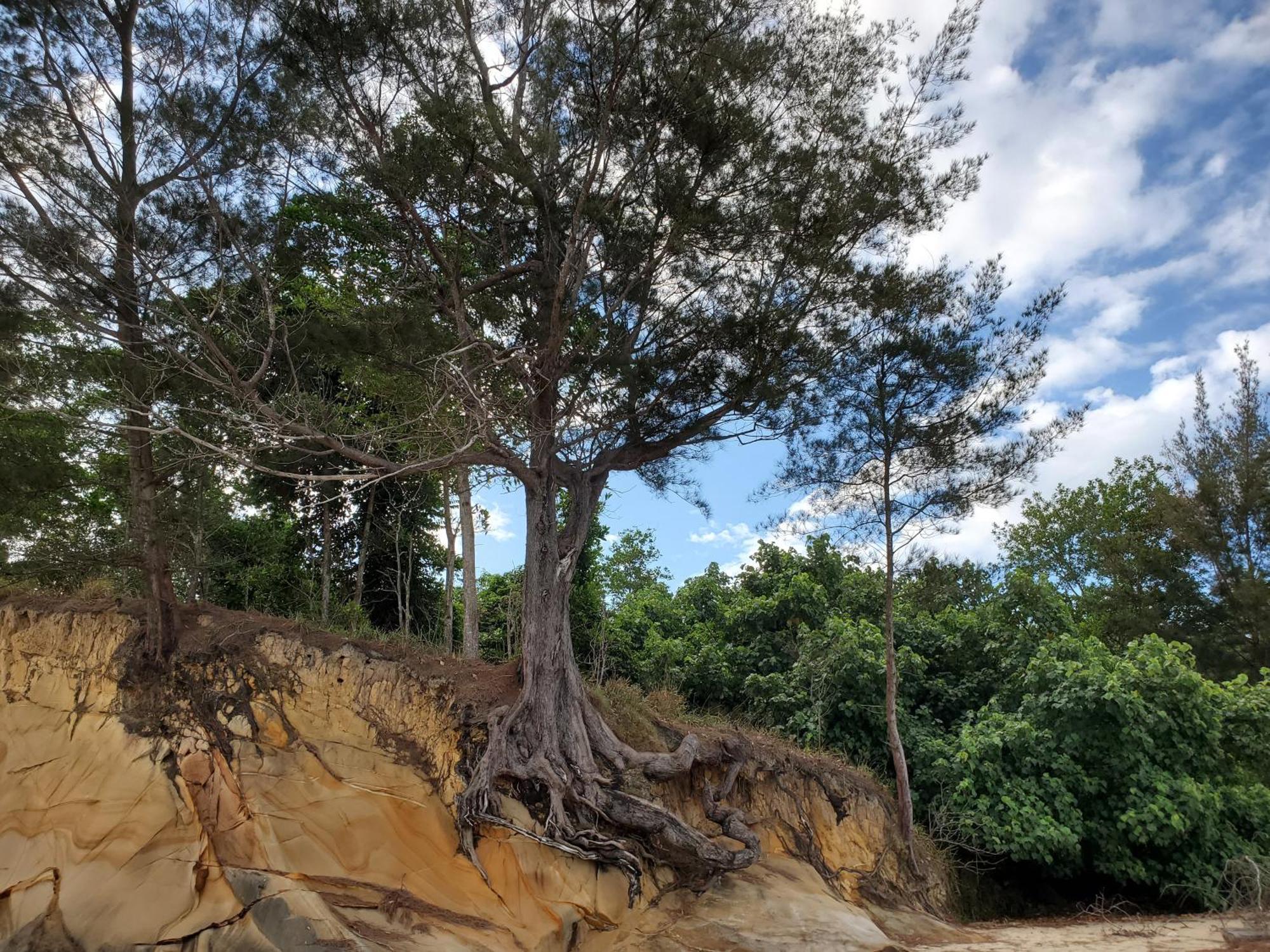 Eagle Bay Retreat Borneo Beach Villas Beach Front Kumbatang Esterno foto